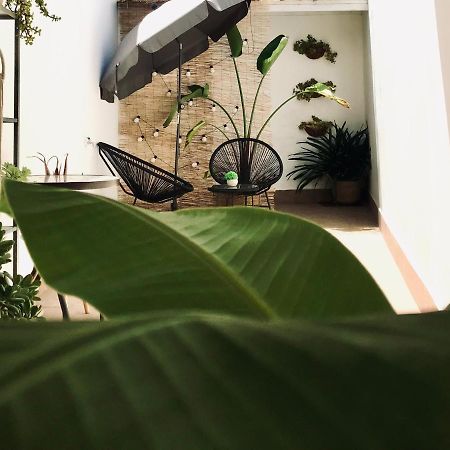 Apartamentos Élite - Frida Mérida Esterno foto